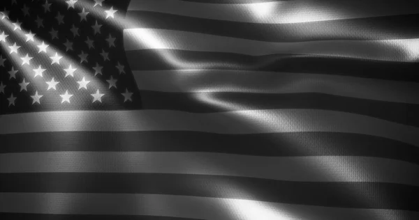 Black White American Flag United States America Flag Shap Folds — 스톡 사진