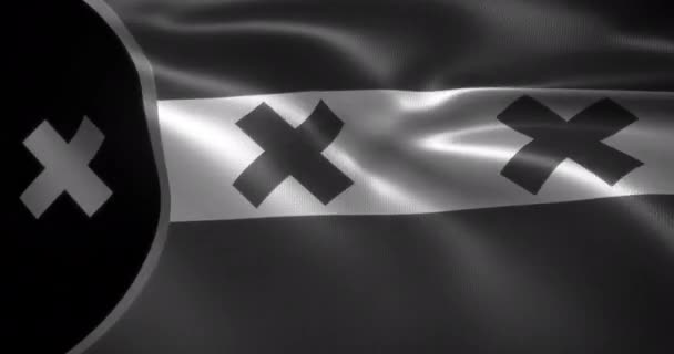 Bandera Lmanburg Blanco Negro Dream Smp Flag Con Pliegues Ondulantes — Vídeo de stock