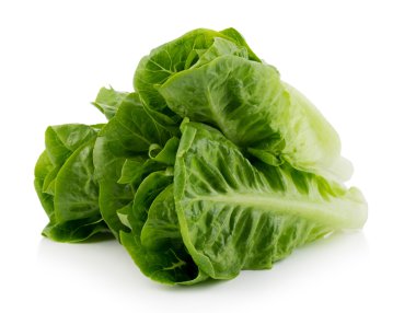 beyaz arkaplanda taze cos (marul)