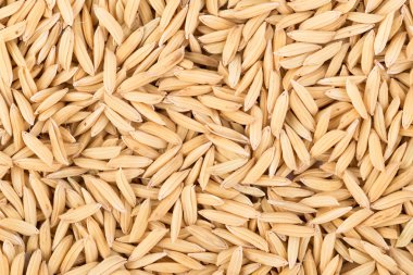 tohum karışımı arka plan. kuşlar için evde beslenen hayvan yiyecek