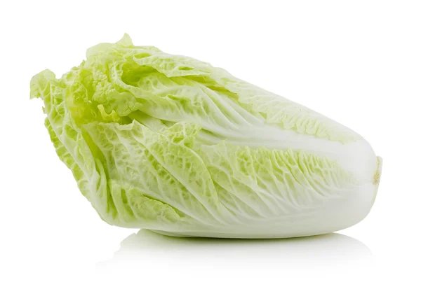 白色背景的新鲜大白菜 — 图库照片