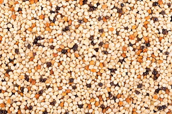 seed mixture background. Pet food for birds