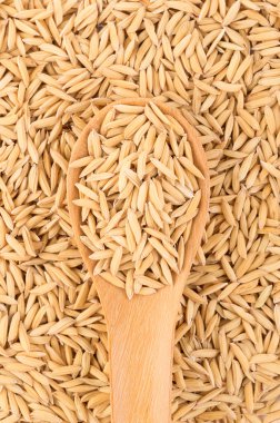 closeup paddy arka plan. Gıda