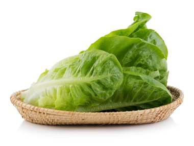 beyaz arkaplanda taze cos (marul)