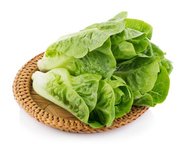 beyaz arkaplanda taze cos (marul)