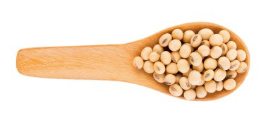 soya fasulyesi beyaz zemin üzerine