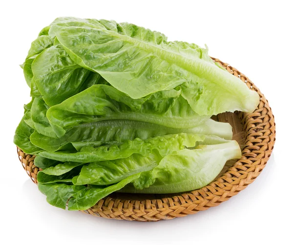 Fresh cos (lettuce) on white background — Stock Photo, Image