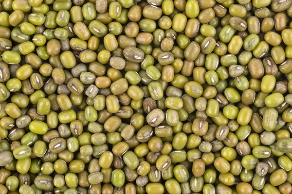 Hromadu mung fazole izolované na bílém — Stock fotografie