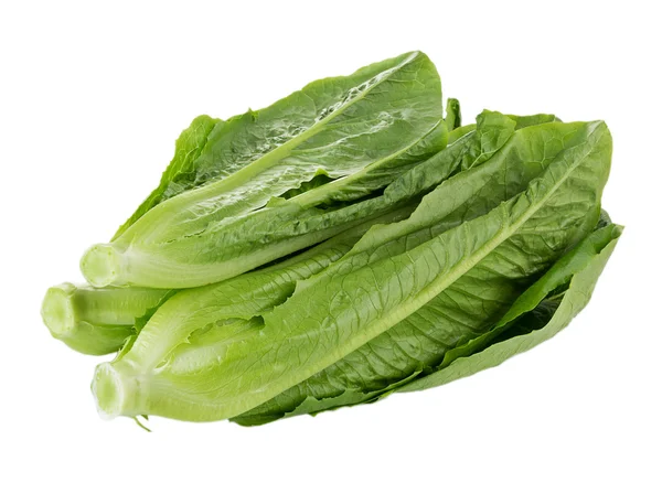 Fresh cos (lettuce) on white background — Stock Photo, Image