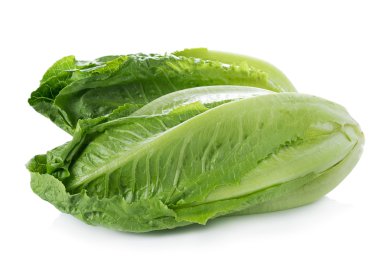 Çünkü marul beyaz zemin üzerine