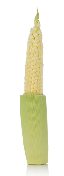 Young small corn on white background — Stock Photo, Image