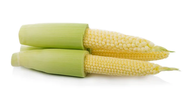 Маленькая кукуруза на белом фоне — стоковое фото