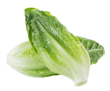 Çünkü marul beyaz zemin üzerine