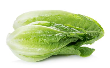 Çünkü marul beyaz zemin üzerine