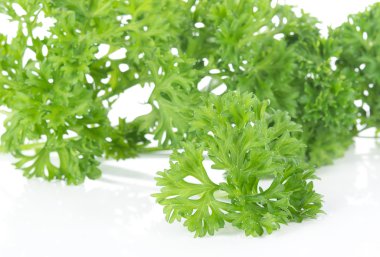 Maydanoz beyaz arkaplanda izole