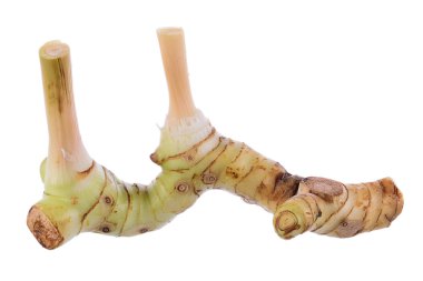 Beyaz arkaplanda taze bir galangal