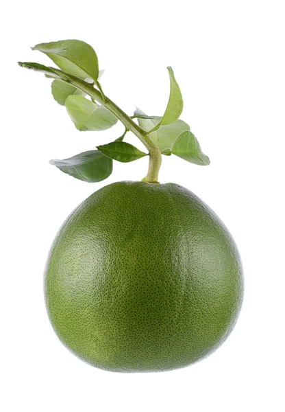 Groene grapefruit op witte achtergrond — Stockfoto