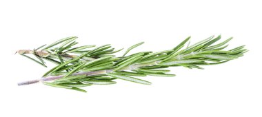 Beyaz arkaplanda biberiye izole edildi