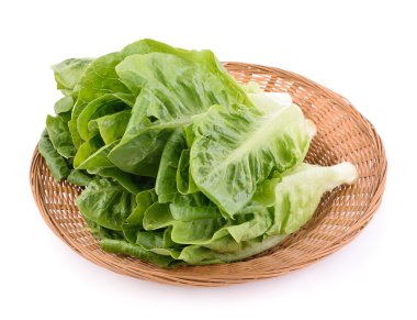 beyaz arkaplanda taze cos (marul)