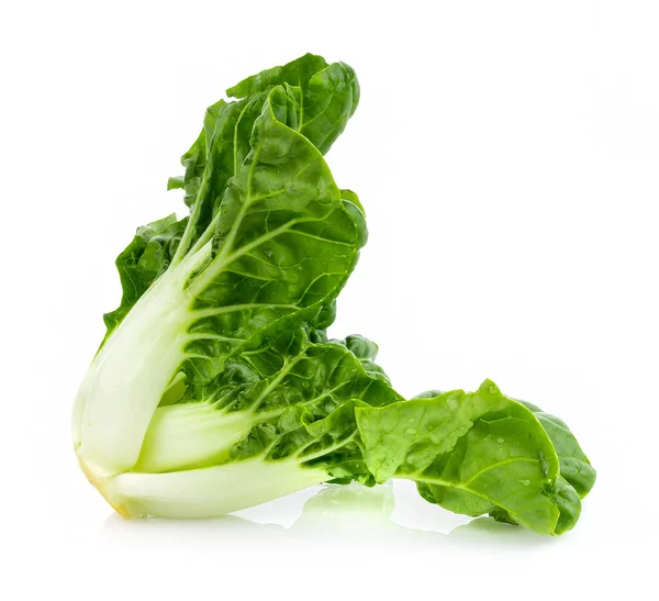 Fresh Baby Chinese Cabbage White Background — Stock Photo, Image