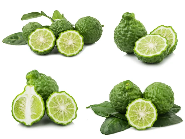 Bergamot — Stock fotografie