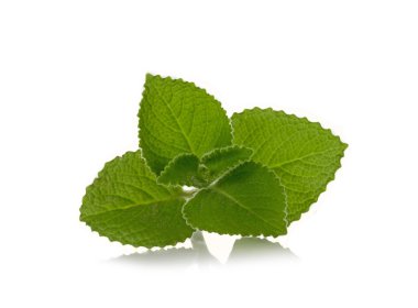 Ülke hodan otlar şifalı properti ile beyaz arka plan üzerinde