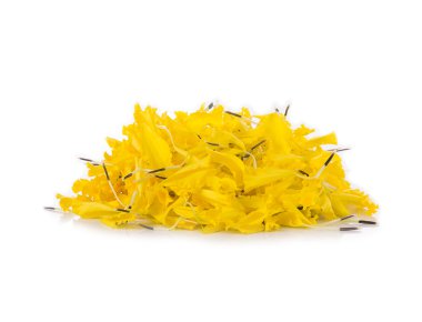 Beyaz arkaplanda kadife çiçeği