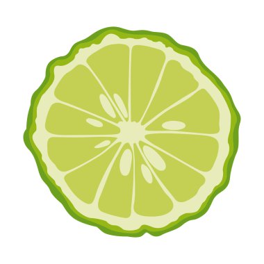 Bergamot ikiye dilimlenmiş. Vektörel çizimler