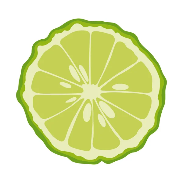 Bergamot ikiye dilimlenmiş. Vektörel çizimler
