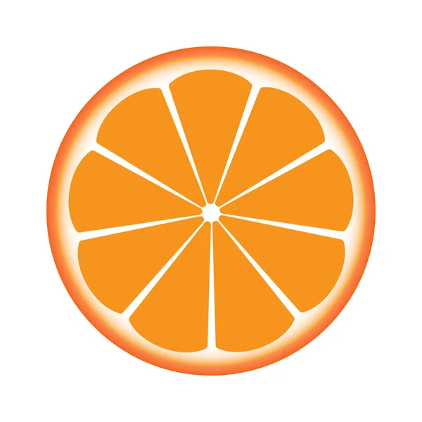Oranje gesneden in half.vector — Stockvector