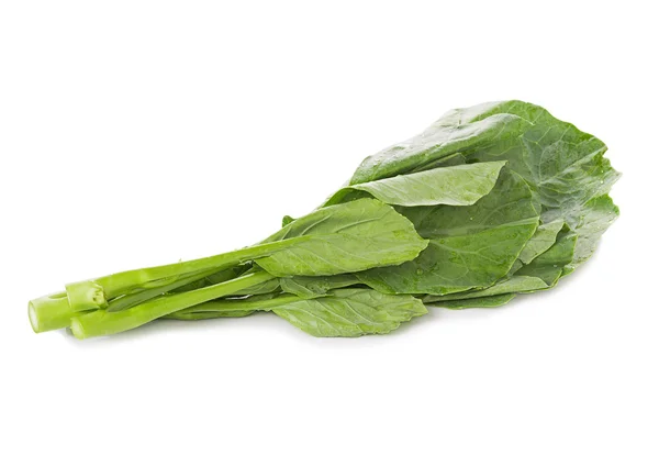 Chinese broccoli on white background — Stock Photo, Image
