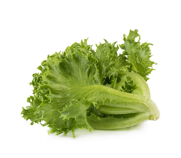 Lettuce isolated on white background — Stock Photo, Image