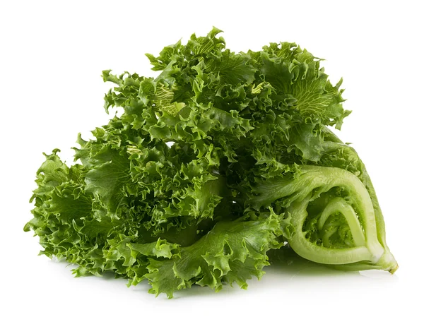 Lettuce isolated on white background — Stock Photo, Image