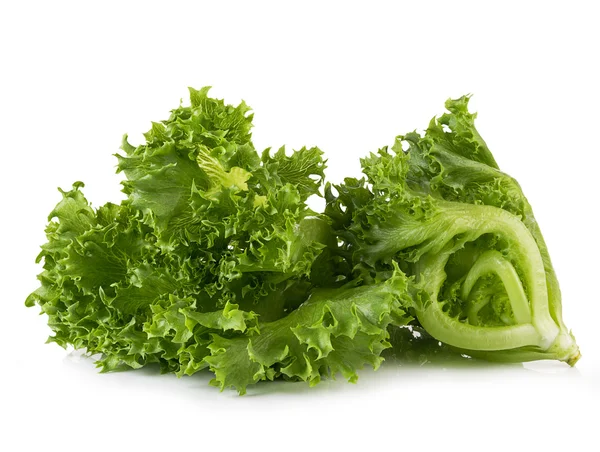 Lettuce isolated on white background — Stock Photo, Image