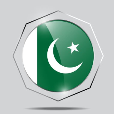 Pakistan bayrağı düğmesi