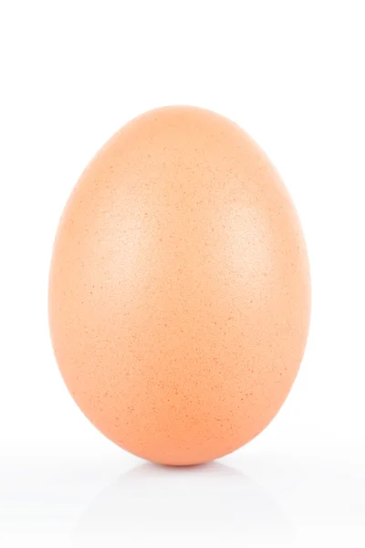 Brown chicken egg  isolated on white. — Stock Photo, Image