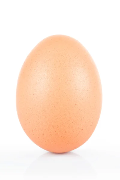 Brown chicken egg  isolated on white. Royalty Free Stock Images