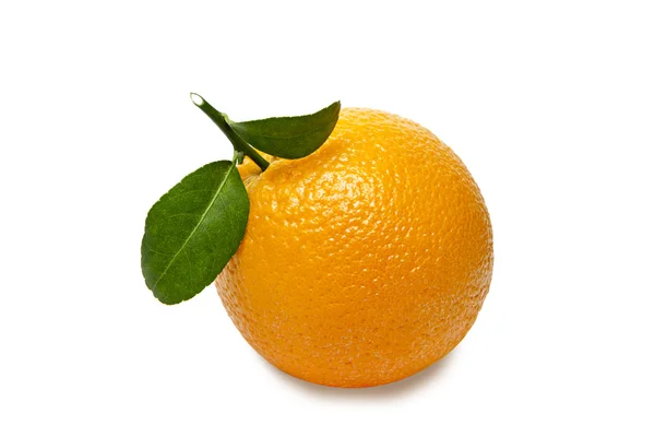 Oranje met verlaat geïsoleerd op witte achtergrond. Uitknippad — Stockfoto