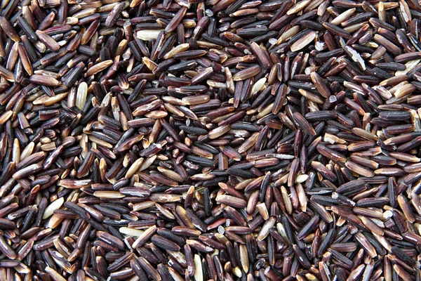 Arroz integral — Foto de Stock