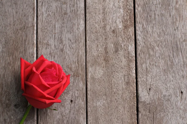 Sfondo San Valentino con rosa su legno . — Foto Stock