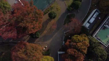 Yokohama 'nın havadan görünüşü