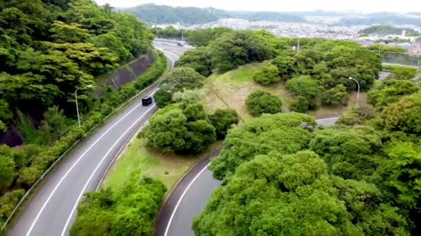 Antenne Uitzicht Van Kamakura — Stockvideo