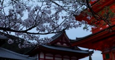 Kyoto 'nun En İyi Noktaları