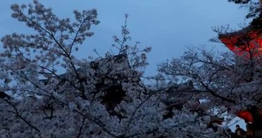 Kyoto 'nun En İyi Noktaları