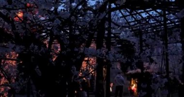 Kyoto 'nun En İyi Noktaları
