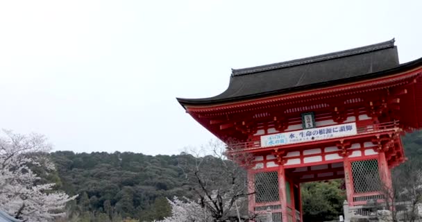 Spots Terbaik Kyoto — Stok Video