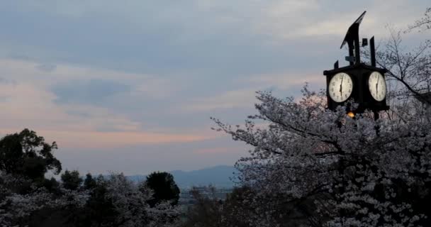 Melhores Lugares Kyoto — Vídeo de Stock