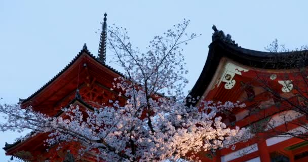 Kyoto Nun Noktaları — Stok video