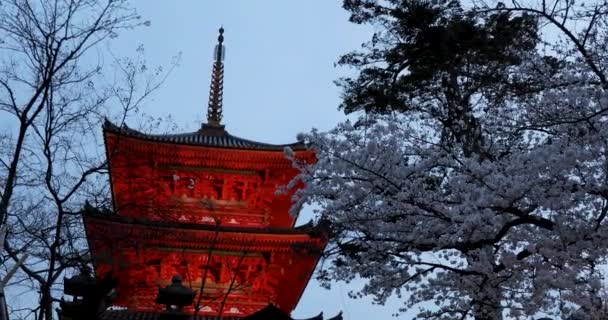 Melhores Lugares Kyoto — Vídeo de Stock