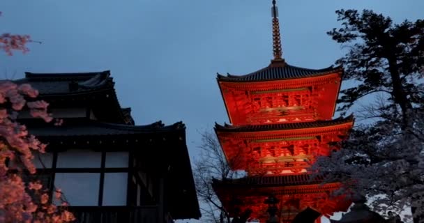 Melhores Lugares Kyoto — Vídeo de Stock